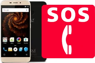 Appels d'urgence sur Allview X4 Soul Mini