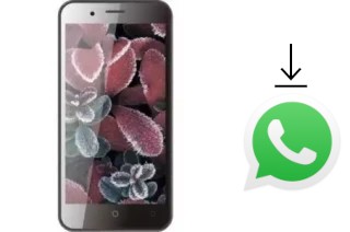 Comment installer WhatsApp dans un 4Good S451M 4G