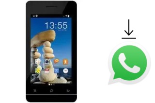 Comment installer WhatsApp dans un Accent Cameleon A1