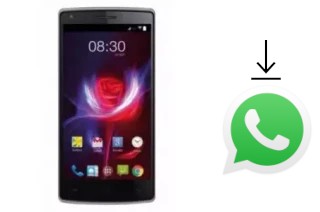 Comment installer WhatsApp dans un Accent Cameleon H2