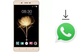 Comment installer WhatsApp dans un Accent Speed X2