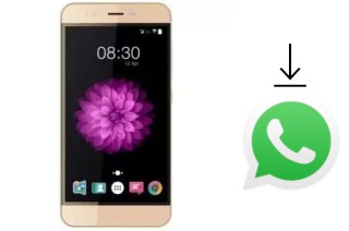 Comment installer WhatsApp dans un Accent Speed Y2