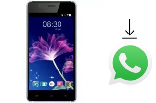 Comment installer WhatsApp dans un Accent Xeon S