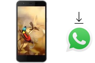 Comment installer WhatsApp dans un AccessGo Gotune 3