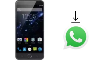 Comment installer WhatsApp dans un AccessGo Gotune 5S