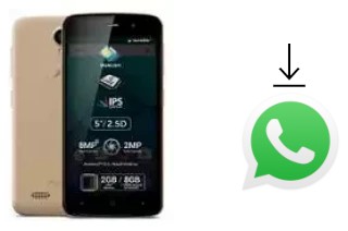 Comment installer WhatsApp dans un Allview P6 Plus