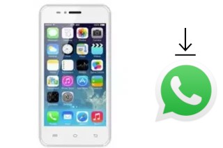 Comment installer WhatsApp dans un Alpha M4501