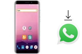 Comment installer WhatsApp dans un Ark Elf S8