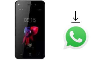 Comment installer WhatsApp dans un Aspera A42