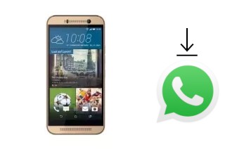 Comment installer WhatsApp dans un Attila M8