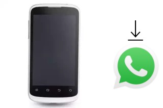 Comment installer WhatsApp dans un Avea Intouch 2