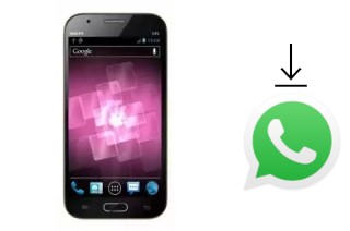 Comment installer WhatsApp dans un Avio Sen S45