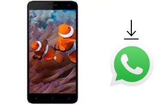 Comment installer WhatsApp dans un Axioo AX5