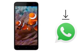 Comment installer WhatsApp dans un Axioo AX6