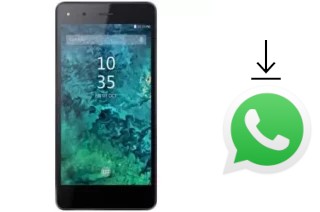 Comment installer WhatsApp dans un Azumi A50 Style Plus