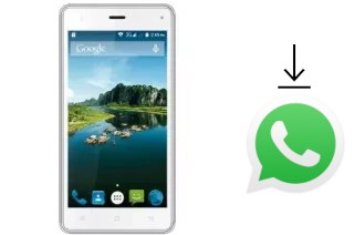 Comment installer WhatsApp dans un Bitel B8601