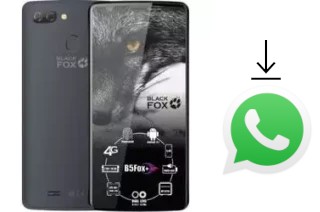 Comment installer WhatsApp dans un Black Fox B5