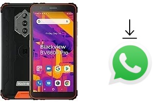 Comment installer WhatsApp dans un Blackview BV6600 Pro