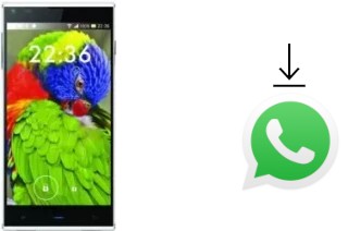 Comment installer WhatsApp dans un Blackview DM550