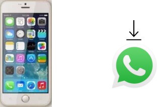 Comment installer WhatsApp dans un Blackview Omega