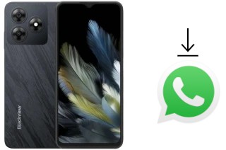 Comment installer WhatsApp dans un Blackview Wave 8