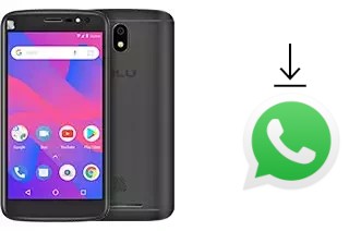 Comment installer WhatsApp dans un BLU C6L