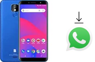 Comment installer WhatsApp dans un BLU J6