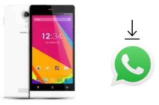 Comment installer WhatsApp dans un BLU Life 8