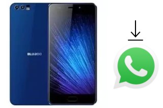 Comment installer WhatsApp dans un Bluboo D2 Pro