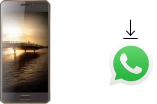 Comment installer WhatsApp dans un Bluboo D2