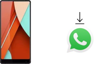 Comment installer WhatsApp dans un Bluboo D5 Pro