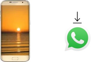 Comment installer WhatsApp dans un Bluboo Edge