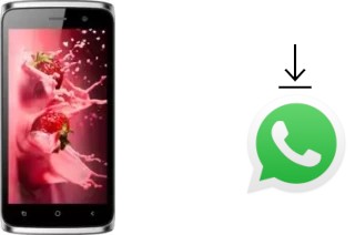 Comment installer WhatsApp dans un Bluboo Mini