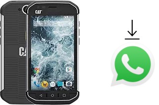 Comment installer WhatsApp dans un Cat S40