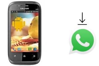 Comment installer WhatsApp dans un Celkon A89