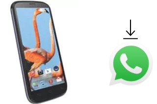 Comment installer WhatsApp dans un Celkon A119 Signature HD