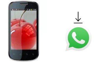 Comment installer WhatsApp dans un Celkon A19