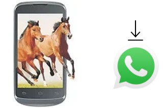 Comment installer WhatsApp dans un Celkon A20