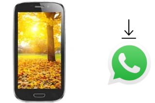 Comment installer WhatsApp dans un Celkon A220