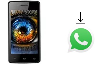 Comment installer WhatsApp dans un Celkon Campus Colt A401