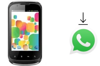 Comment installer WhatsApp dans un Celkon A77