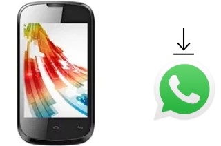 Comment installer WhatsApp dans un Celkon A79