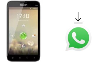 Comment installer WhatsApp dans un Celkon A900