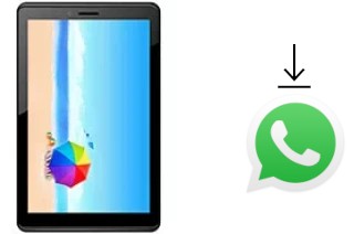 Comment installer WhatsApp dans un Celkon C820