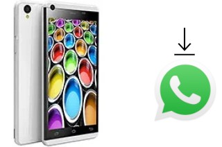 Comment installer WhatsApp dans un Celkon Q500 Millennium Ultra