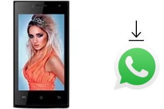 Comment installer WhatsApp dans un Celkon Campus Crown Q40