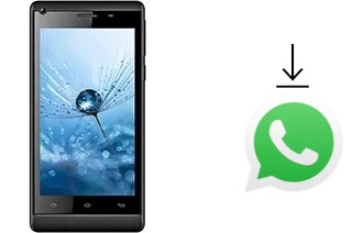 Comment installer WhatsApp dans un Celkon Q455L