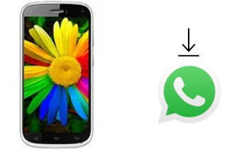 Comment installer WhatsApp dans un Celkon Q470