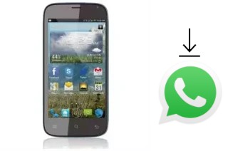 Comment installer WhatsApp dans un CellAllure CAPHG20-02