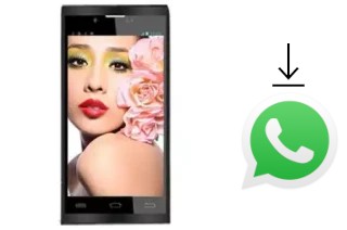 Comment installer WhatsApp dans un Changhong CHANGHONG Z3